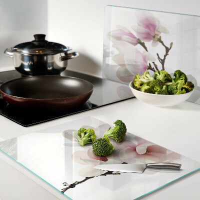 Szklana deska kuchenna Kwiaty magnolii na gałęzi