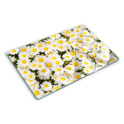 Szklana deska kuchenna Stokrotki na tle białym