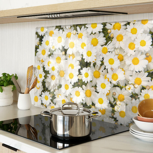 Szklana deska kuchenna Stokrotki na tle białym