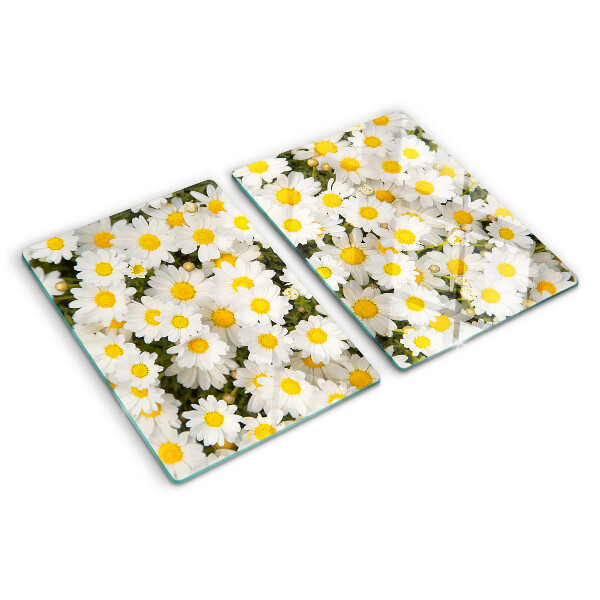 Tabla para cortar Margaritas sobre fondo blanco