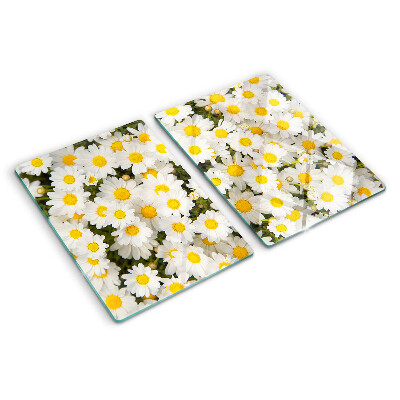 Tabla para cortar Margaritas sobre fondo blanco