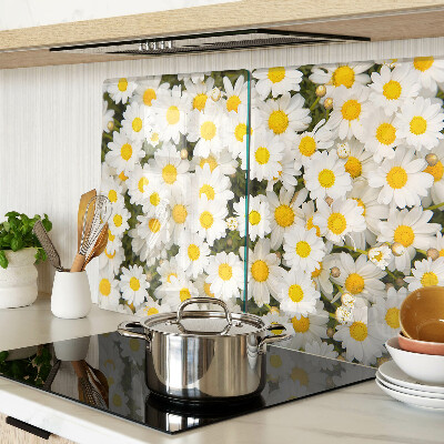 Tabla para cortar Margaritas sobre fondo blanco