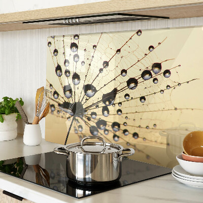 Tabla de cortar de cristal Gotas de agua sobre una telaraña