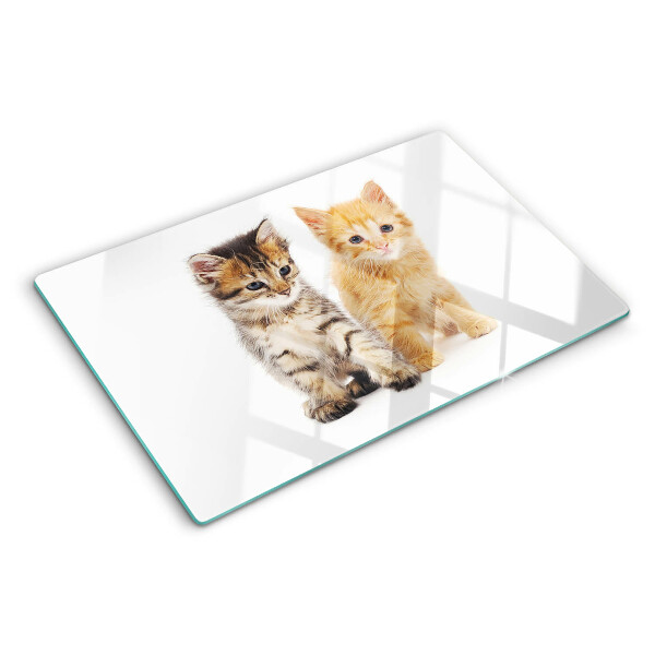 Tabla de cortar de cristal Gatos sobre un fondo blanco