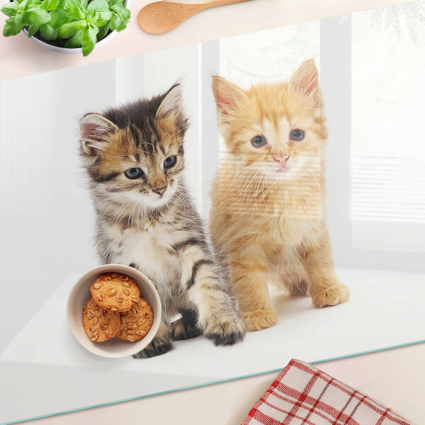 Tabla de cortar de cristal Gatos sobre un fondo blanco