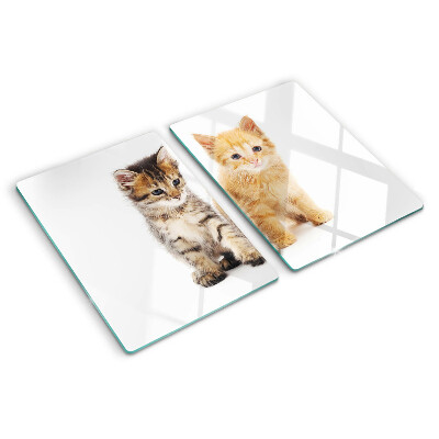 Tabla de cortar de cristal Gatos sobre un fondo blanco