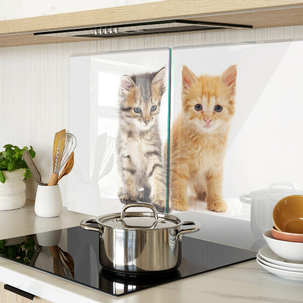 Tabla de cortar de cristal Gatos sobre un fondo blanco