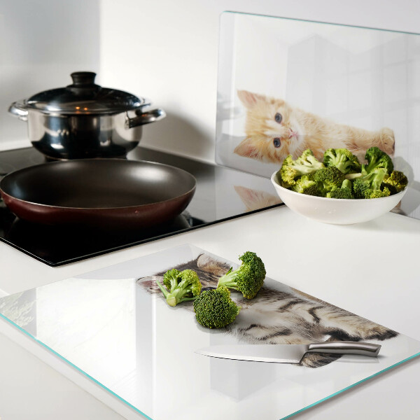 Tabla de cortar de cristal Gatos sobre un fondo blanco