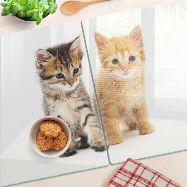Tabla de cortar de cristal Gatos sobre un fondo blanco