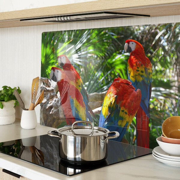 Tabla de cortar Loros en un entorno tropical