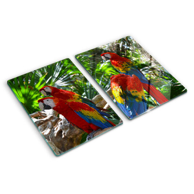 Tabla de cortar Loros en un entorno tropical