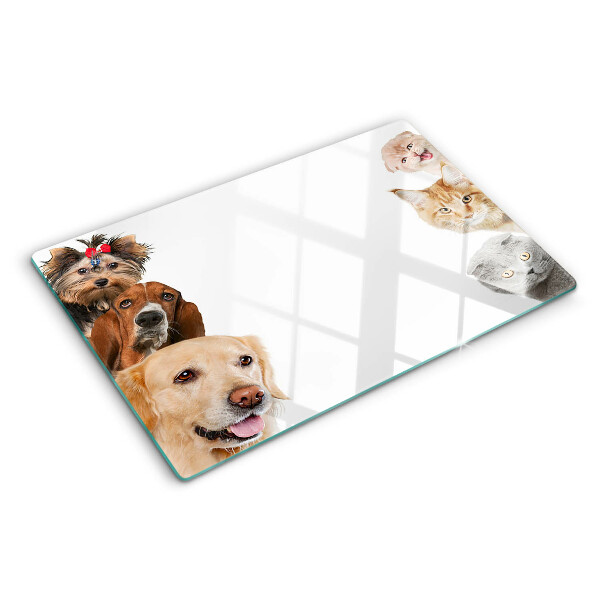 Tabla de cortar de cristal Perros y gatos en diferentes poses.