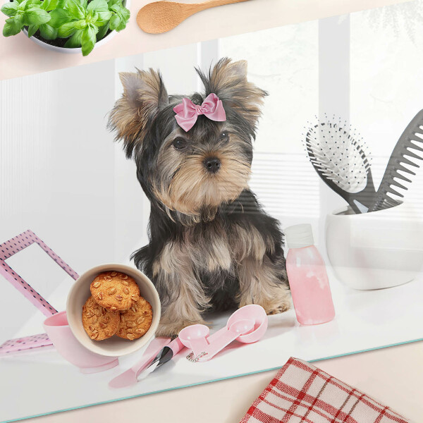 Szklana deska kuchenna Yorkshire Terrier z akcesoriami groomerskimi