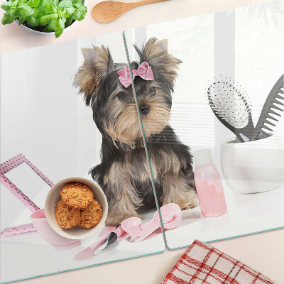 Szklana deska kuchenna Yorkshire Terrier z akcesoriami groomerskimi