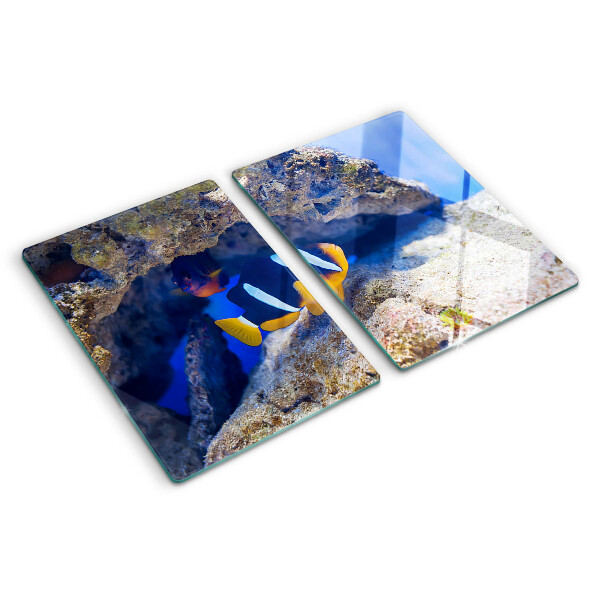 Tabla para cortar Peces en un arrecife de coral