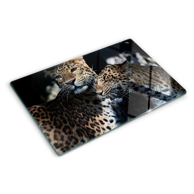 Szklana deska kuchenna Gepardy na ciemnym tle