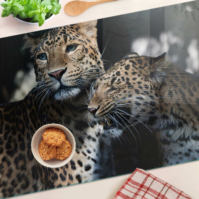 Szklana deska kuchenna Gepardy na ciemnym tle