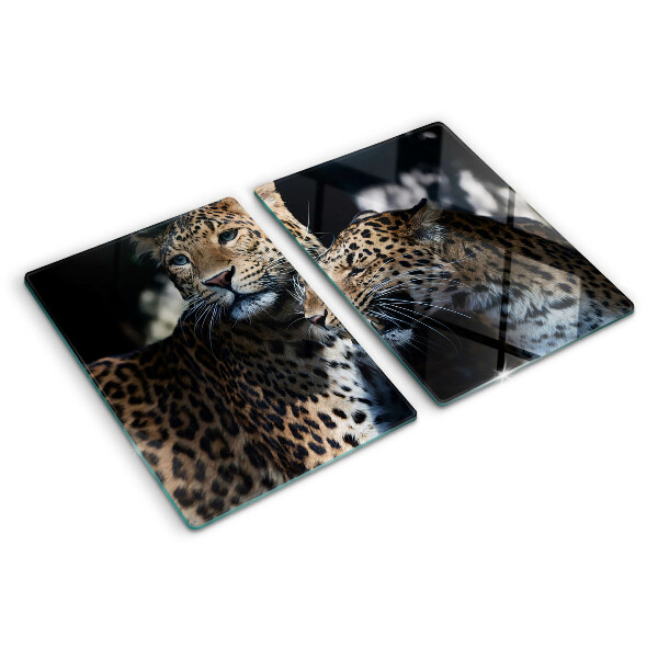 Szklana deska kuchenna Gepardy na ciemnym tle
