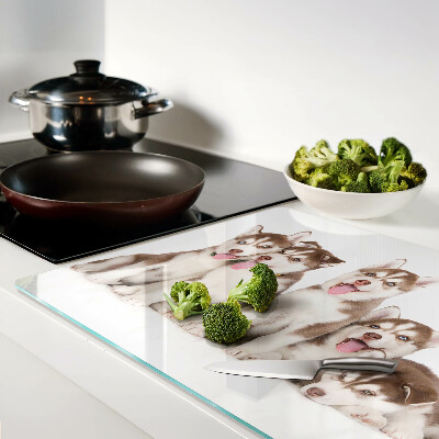 Szklana deska kuchenna Szczeniaki husky