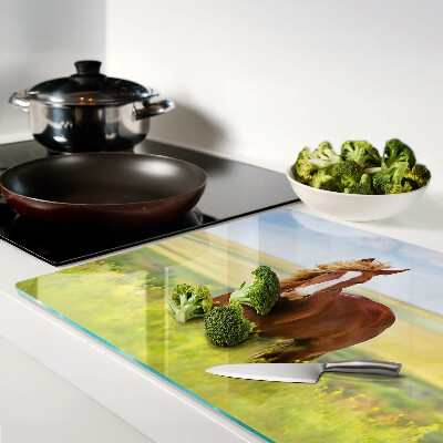 Szklana deska kuchenna Koń na łące