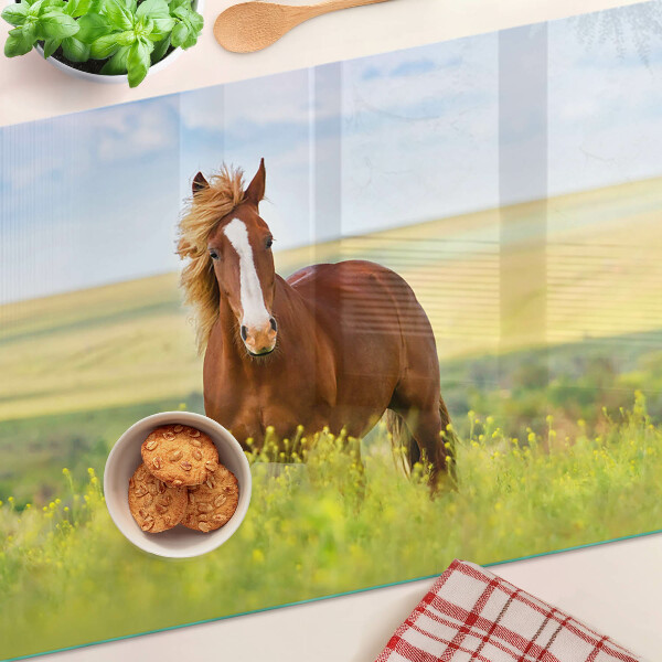 Szklana deska kuchenna Koń na łące