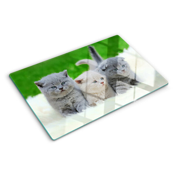 Tabla para cortar Gatitos sobre un fondo verde