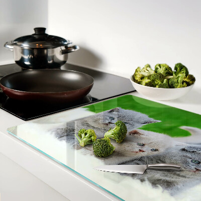 Tabla para cortar Gatitos sobre un fondo verde