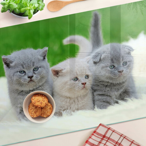 Tabla para cortar Gatitos sobre un fondo verde