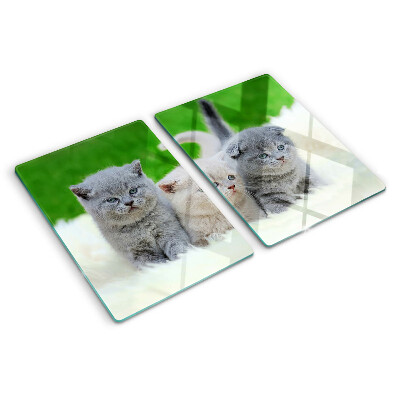 Tabla para cortar Gatitos sobre un fondo verde