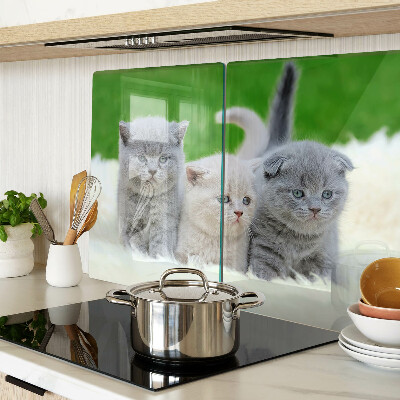 Tabla para cortar Gatitos sobre un fondo verde