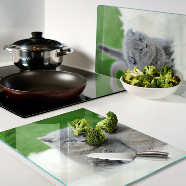 Tabla para cortar Gatitos sobre un fondo verde