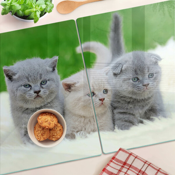 Tabla para cortar Gatitos sobre un fondo verde