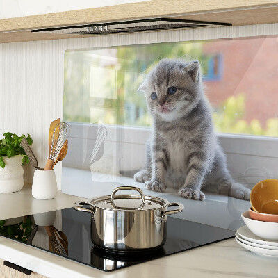 Tabla de cortar de cristal Un gatito en el alféizar de la ventana.