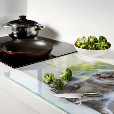 Tabla de cortar de cristal Un gatito en el alféizar de la ventana.