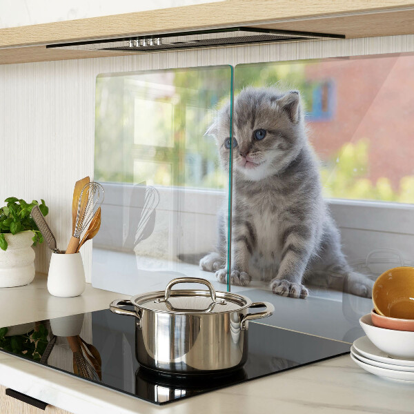 Tabla de cortar de cristal Un gatito en el alféizar de la ventana.