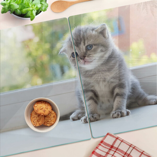 Tabla de cortar de cristal Un gatito en el alféizar de la ventana.