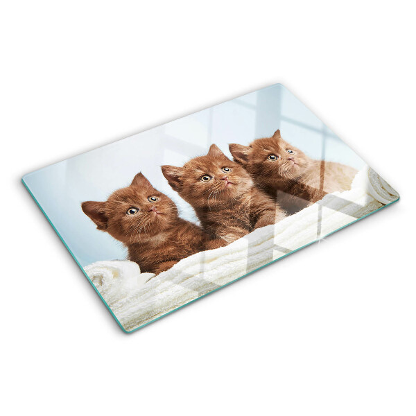 Tabla de cocina Tres gatos marrones