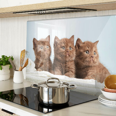 Tabla de cocina Tres gatos marrones