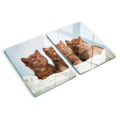 Tabla de cocina Tres gatos marrones