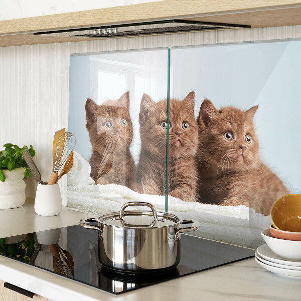 Tabla de cocina Tres gatos marrones