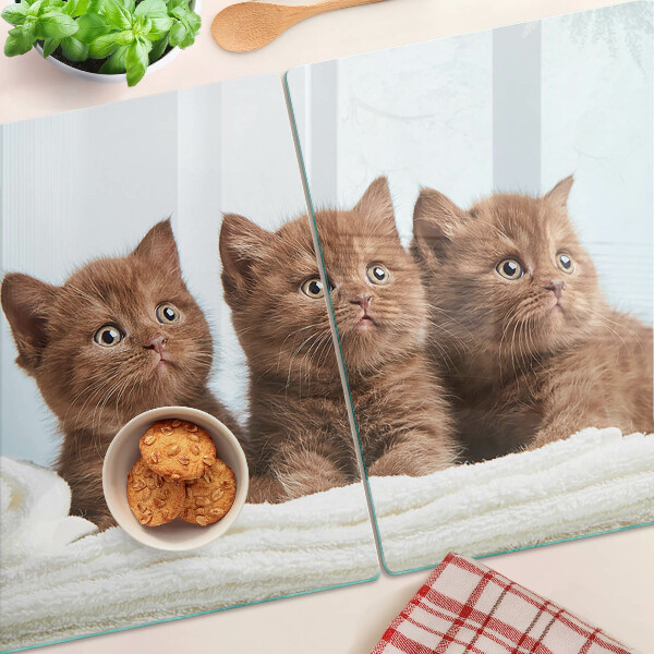 Tabla de cocina Tres gatos marrones