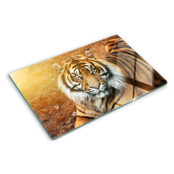 Tabla de cortar de cristal Tigre bajo los rayos del sol
