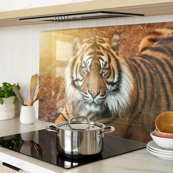 Tabla de cortar de cristal Tigre bajo los rayos del sol
