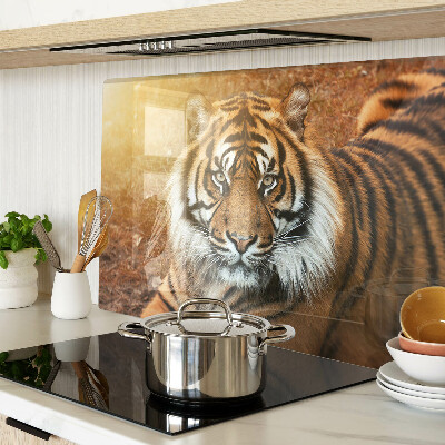 Tabla de cortar de cristal Tigre bajo los rayos del sol