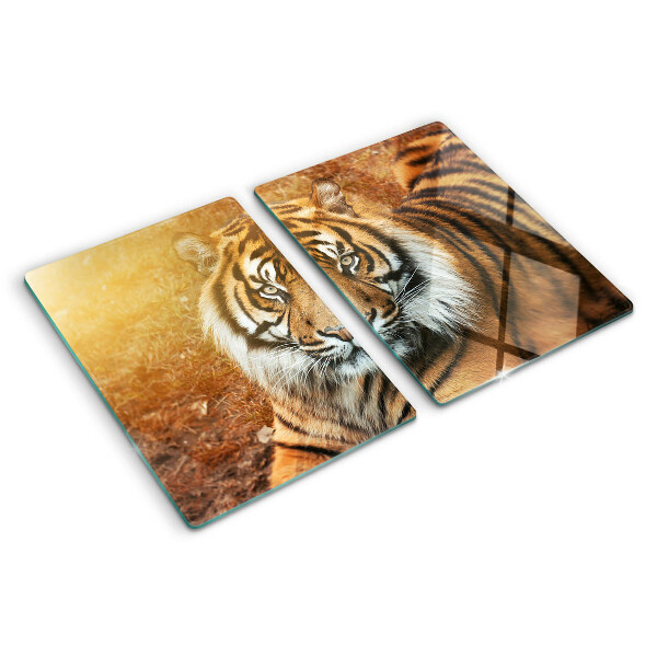 Tabla de cortar de cristal Tigre bajo los rayos del sol
