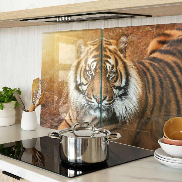 Tabla de cortar de cristal Tigre bajo los rayos del sol