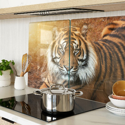 Szklana deska do krojenia Tygrys w promieniach słońca