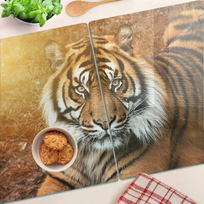 Tabla de cortar de cristal Tigre bajo los rayos del sol