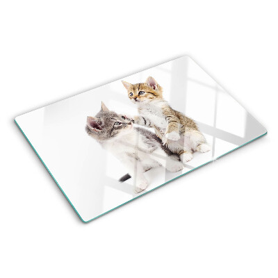 Tabla de cocina Gatos sobre un fondo blanco