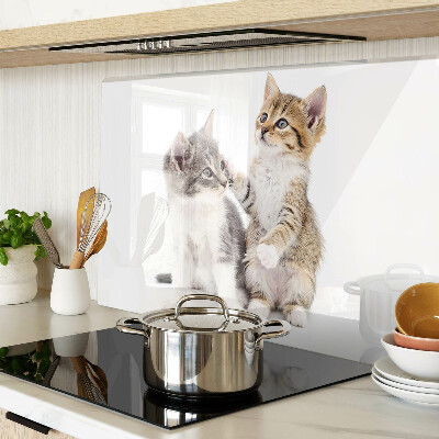 Tabla de cocina Gatos sobre un fondo blanco